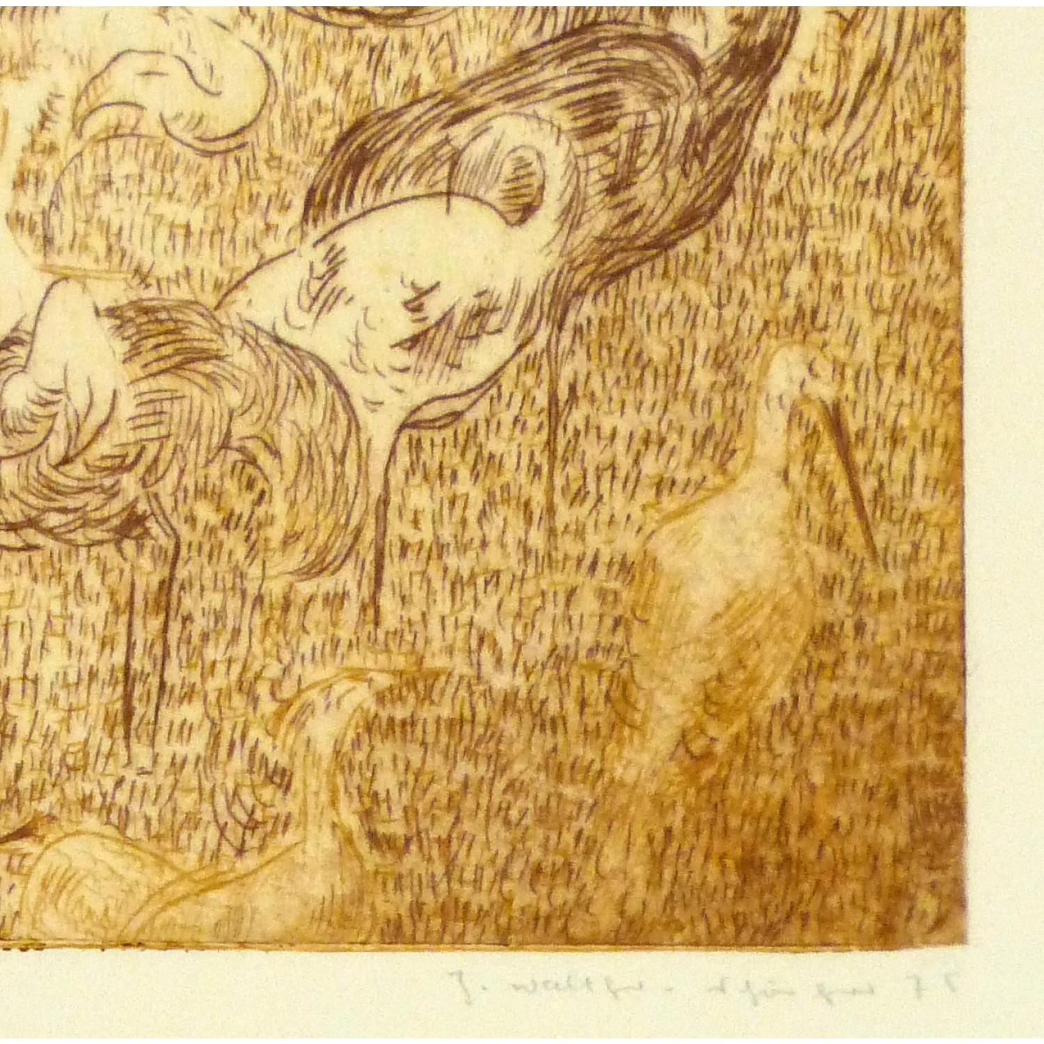 Aquatint Etching Flamingoes 9154m Aquatint Etching Flamingoes 9154m