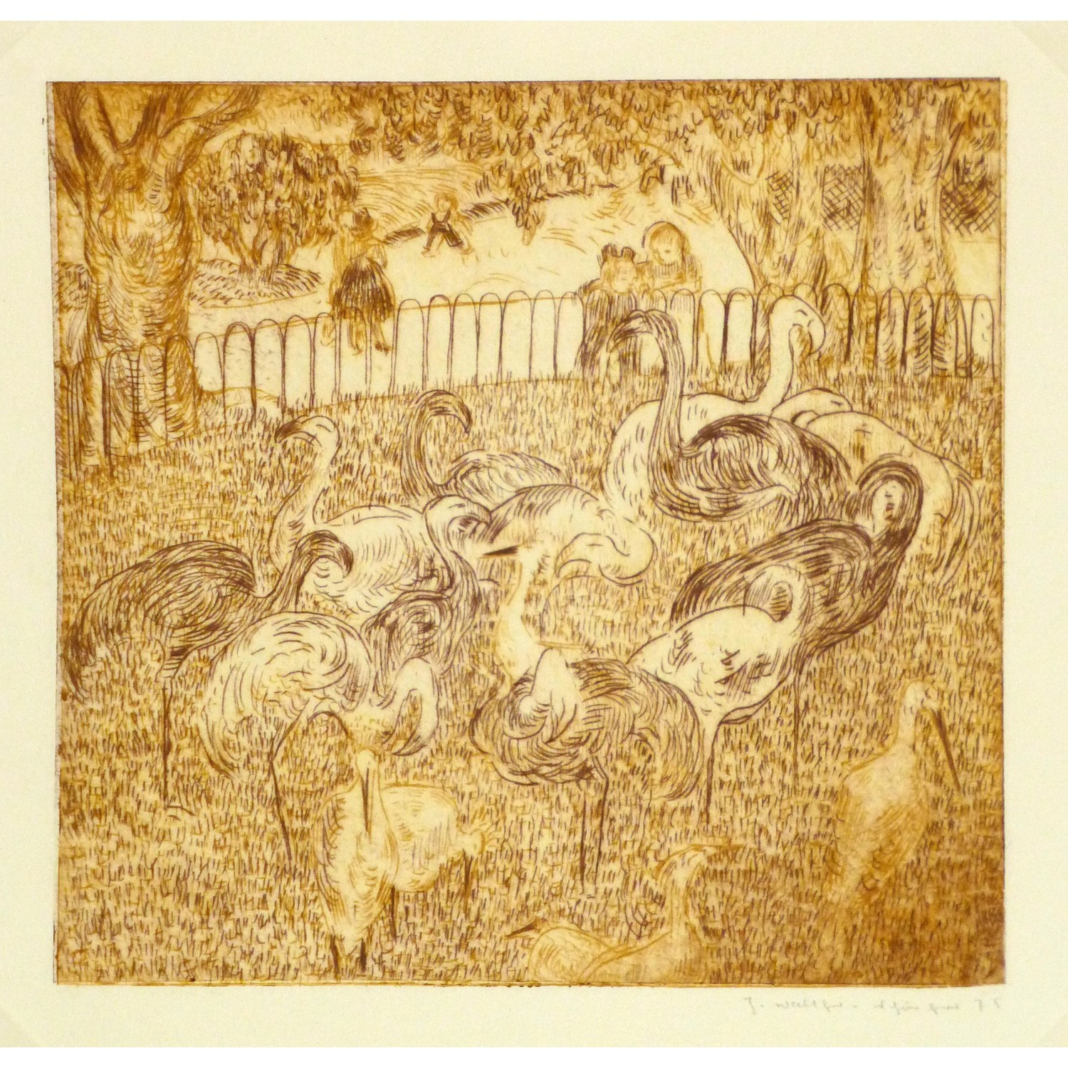 Vintage Aquatint Etching Flamingoes 9154 Vintage Aquatint Etching Flamingoes 9154