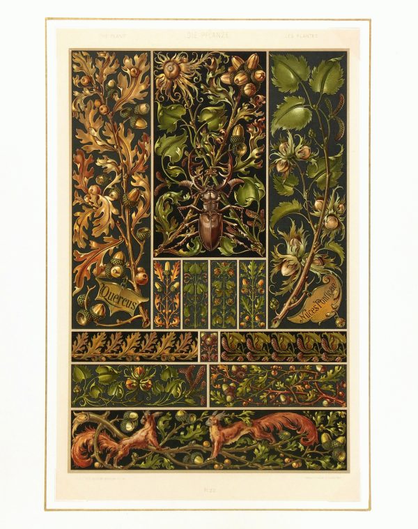 Lithograph - Nature's Interiors, 1886-matted-5629K