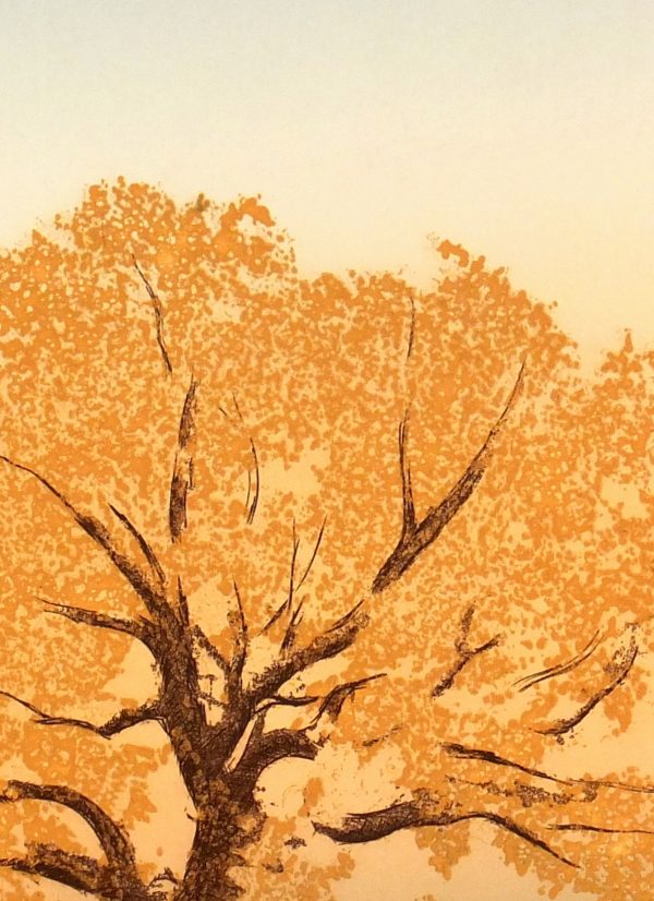 Oak at Dawn, Circa 1980-detail-7491K