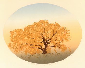 Oak at Dawn, Circa 1980-main-7491K
