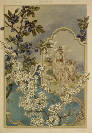 Angels & Blueberries, 1886-main-KB1656