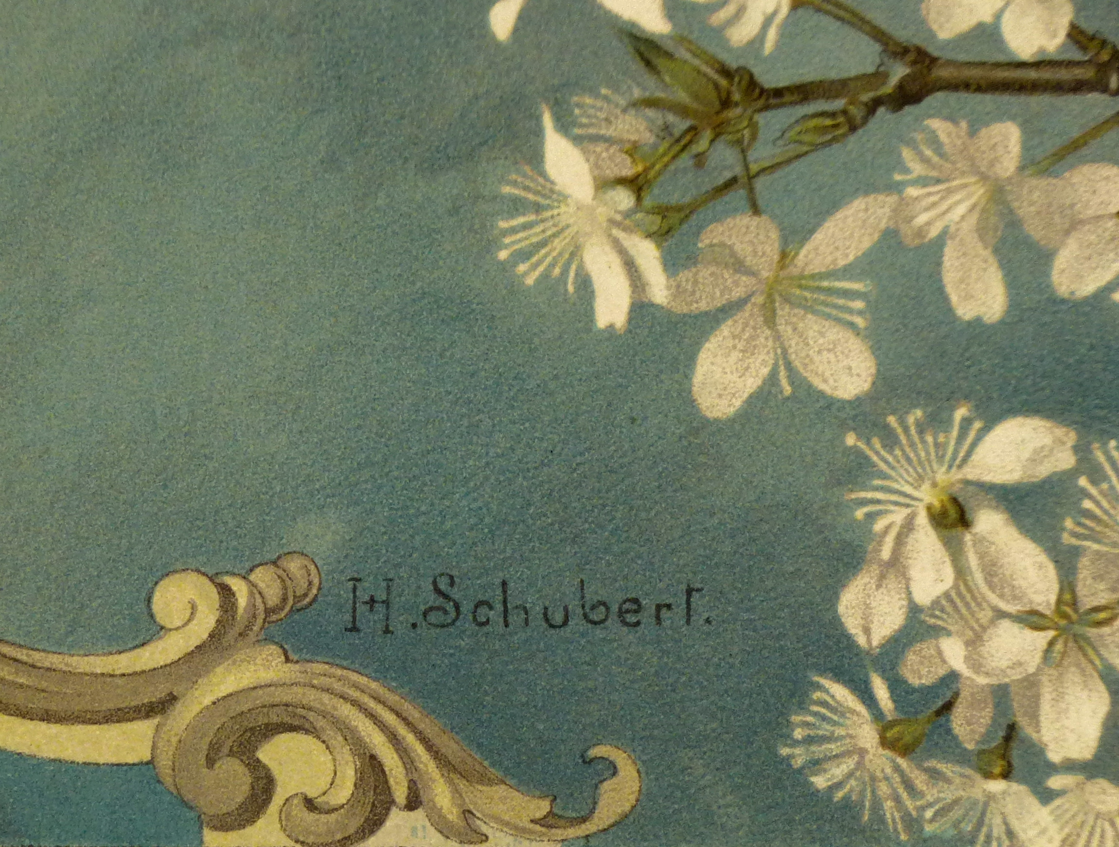 Angels & Blueberries, 1886-detail-KB1656 Angels & Blueberries, 1886-detail-KB1656