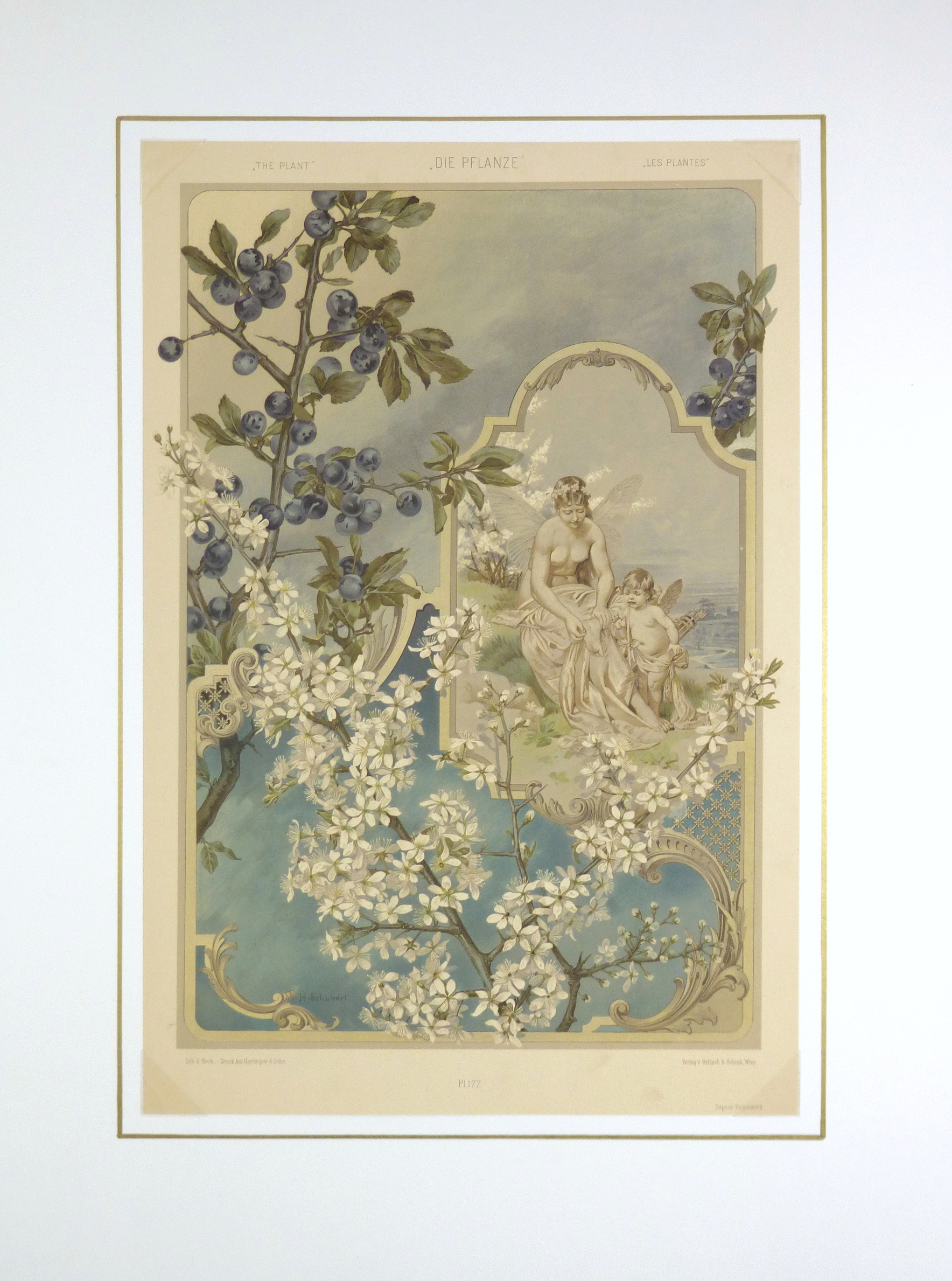 Angels & Blueberries, 1886-matted-KB1656 Angels & Blueberries, 1886-matted-KB1656