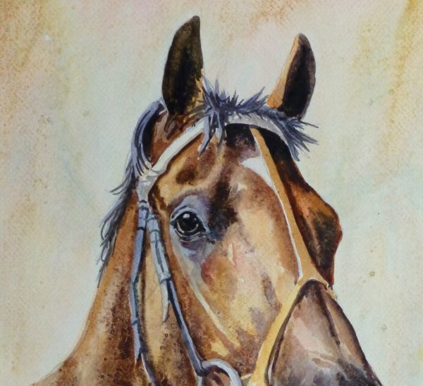 Equine Portrait Watercolor, 2011-detail 2-10536M