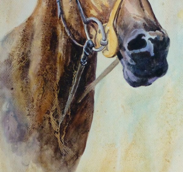 Equine Portrait Watercolor, 2011-detail-10536M