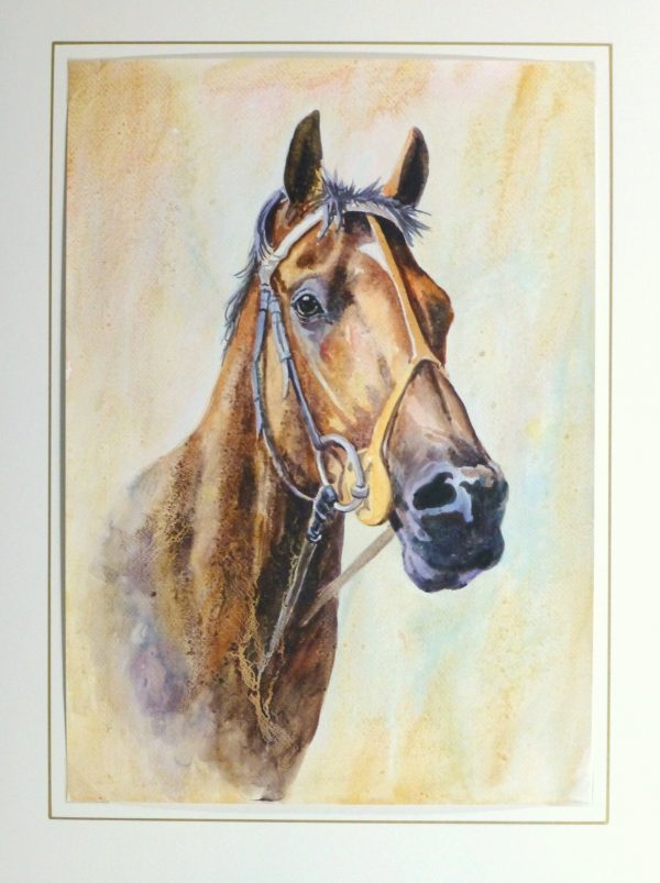 Equine Portrait Watercolor, 2011-matted-10536M