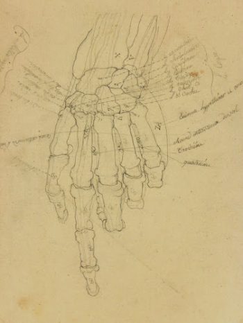 Drawing - Hand Study-main-7517G