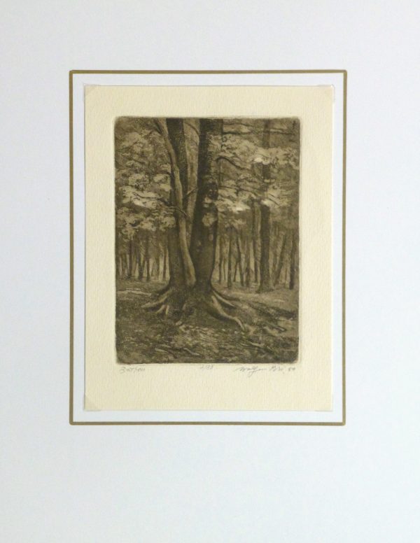 Etching - Isolated, 1984-matted-10748M
