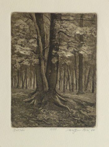 Etching - Isolated, 1984-main-10748M