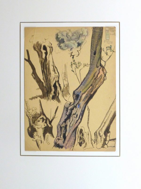 Ink Wash - Tree Study, Circa 1930-matted-kla2418
